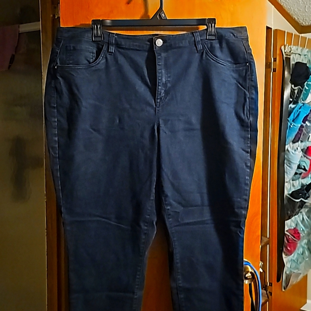 Lane Bryant skinny jeans sz 24